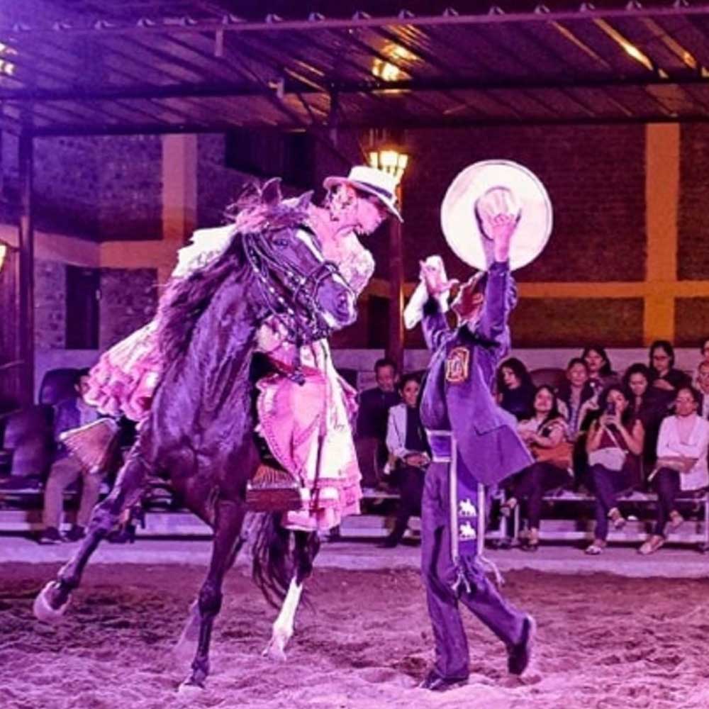 Cena Show